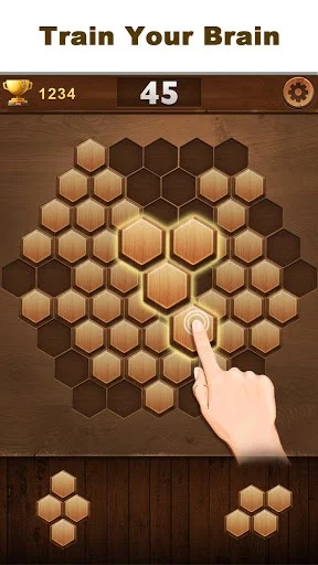 Изображение игры: Wood Block Hexagon