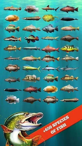 Изображение игры: Let's Fish: Sport Fishing Games. Fishing Simulator