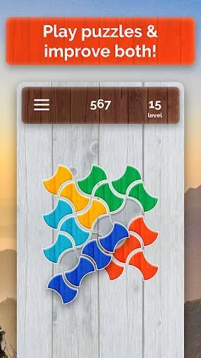 Изображение игры: Wood Blocks Puzzle