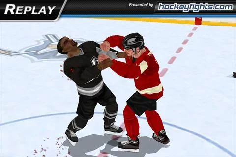 Изображение игры: Hockey Fight