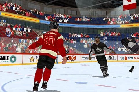 Изображение игры: Hockey Fight