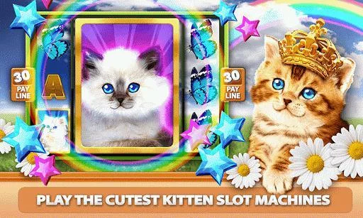 Изображение игры: Casino Kitty Free Slot Machine