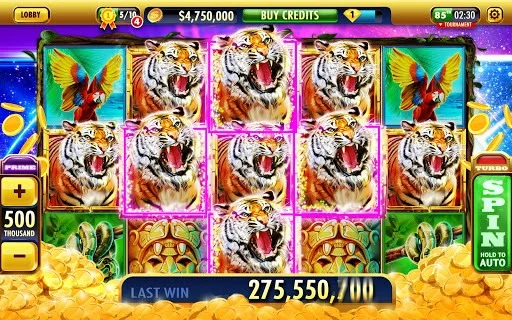 Изображение игры: Big Bonus Slots - Free Las Vegas Casino Slot Game