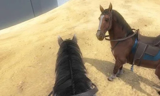 Изображение игры: Horse Simulator: Cowboy Rider