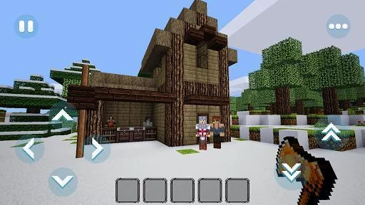 Изображение игры: Boys Craft: Winter King