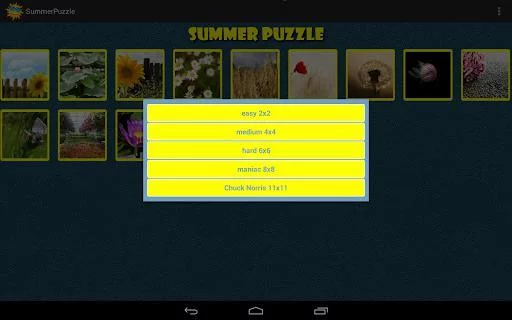 Изображение игры: Summer Puzzle Free