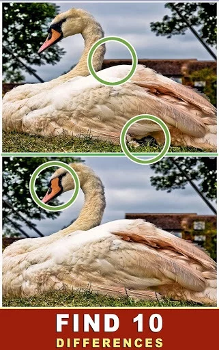 Изображение игры: Find The Difference