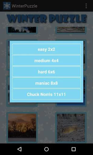 Изображение игры: Winter Puzzle Free