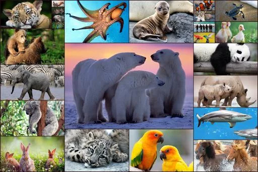 Изображение игры: Animals Jigsaw Puzzles Game - For Kids & Adults 🐇