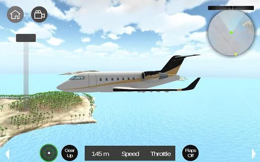 Изображение игры: Flight Sim