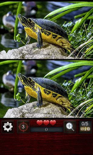 Изображение игры: Find the differences 300 level