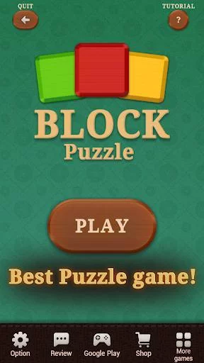 Изображение игры: BlockPuzzle