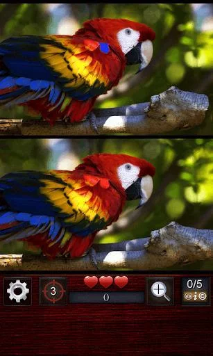 Изображение игры: Find the differences 300 level