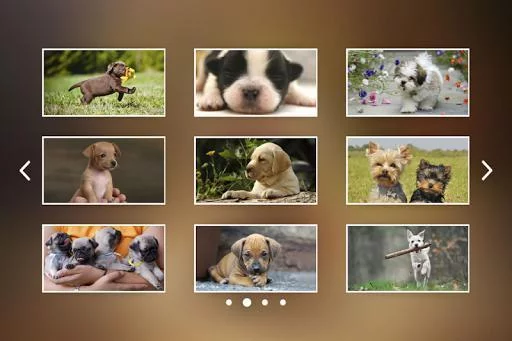 Изображение игры: Puppies Jigsaw Puzzles Free Pet Games for Kids