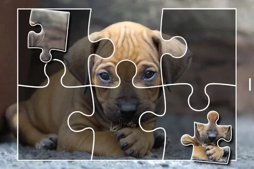 Изображение игры: Puppies Jigsaw Puzzles Free Pet Games for Kids