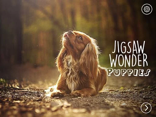 Изображение игры: Puppies Jigsaw Puzzles Free Pet Games for Kids