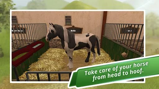 Изображение игры: HorseWorld - My riding horse