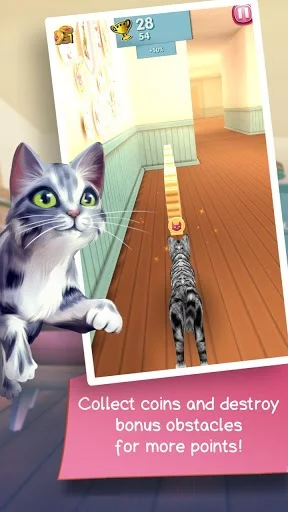 Изображение игры: Cat Run