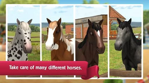 Изображение игры: HorseWorld: Show Jumping Premium