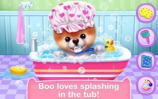 Изображение игры: Boo - The World's Cutest Dog