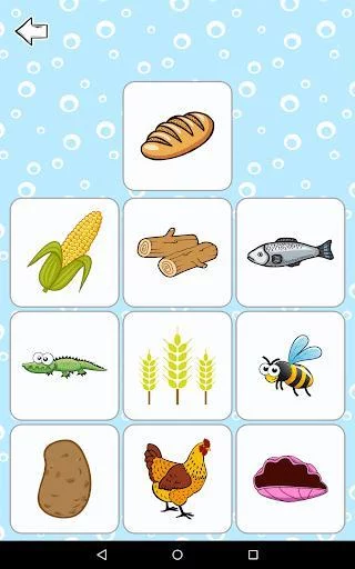 Изображение игры: Kids Brain Trainer (Preschool)