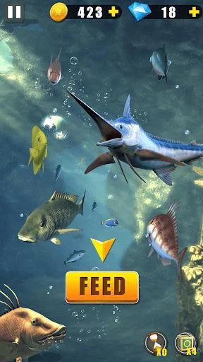 Изображение игры: Wild Fishing