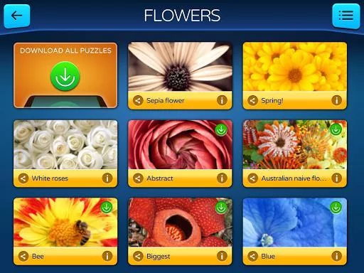 Изображение игры: Jigsaw PuzzleMaster