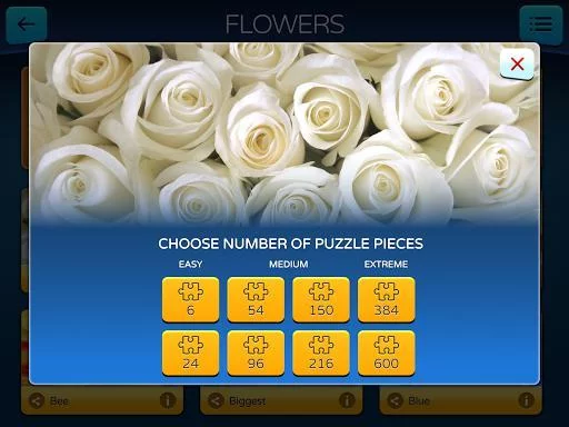 Изображение игры: Jigsaw PuzzleMaster