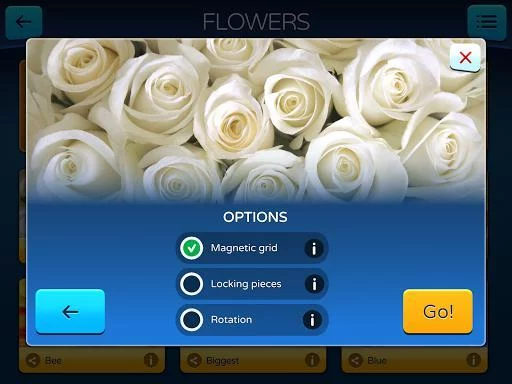 Изображение игры: Jigsaw PuzzleMaster