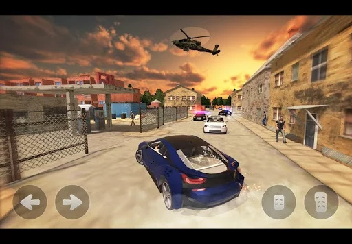 Изображение игры: Mad City Country boy