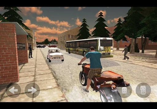 Изображение игры: Mad City Country boy