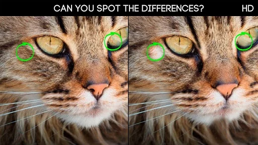 Изображение игры: Spot the Differences 100 levels Hard