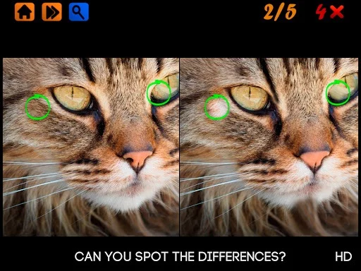 Изображение игры: Spot the Differences 100 levels Hard