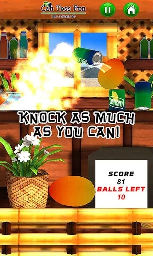 Изображение игры: Can Toss Fun - Hit & Smash 3D