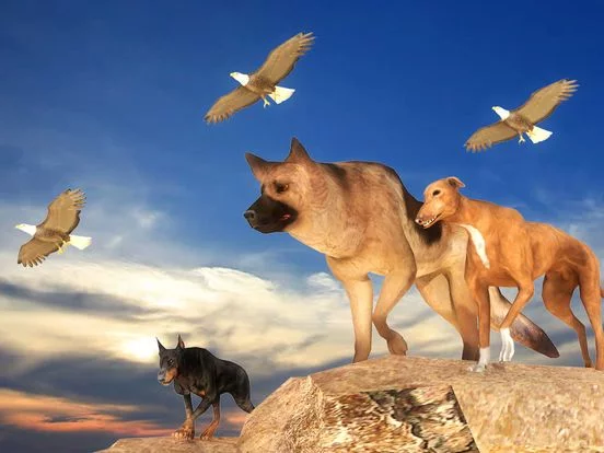 Изображение игры: Stray Dog Simulator Games 2018