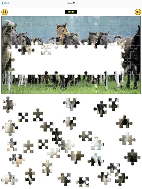 Изображение игры: Puzzle Collection: Animals