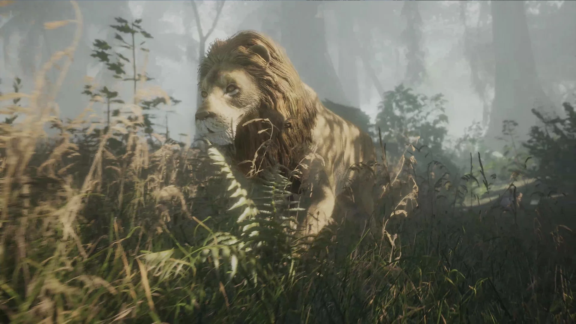 Изображение игры: PROJECT D: Human Risen