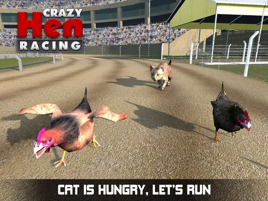 Изображение игры: Hen Racing Simulator - Race Free Range Chickens