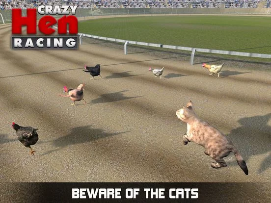 Изображение игры: Hen Racing Simulator - Race Free Range Chickens