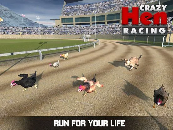 Изображение игры: Hen Racing Simulator - Race Free Range Chickens