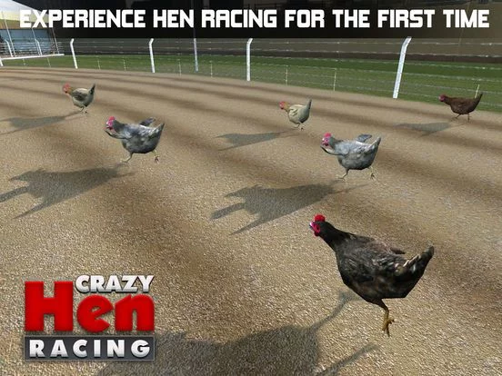 Изображение игры: Hen Racing Simulator - Race Free Range Chickens