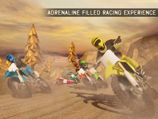 Изображение игры: Dirt Bike Racing PRO: Trial Extreme Moto X Rider