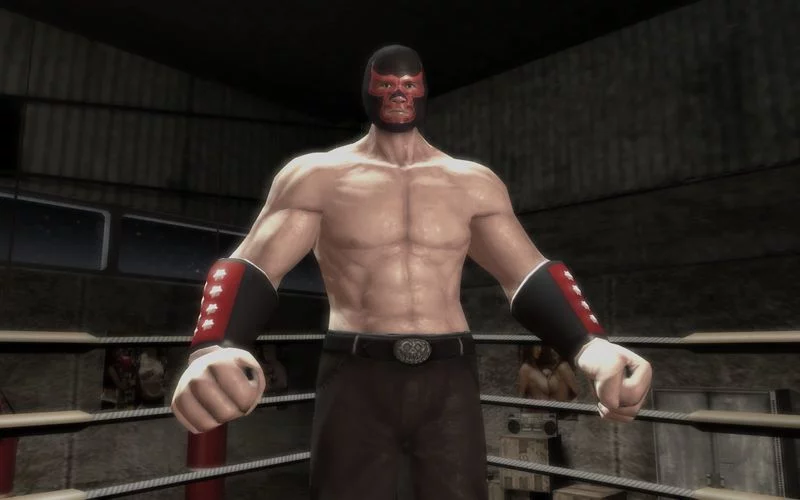 Изображение игры: Brotherhood of Violence Ⅱ