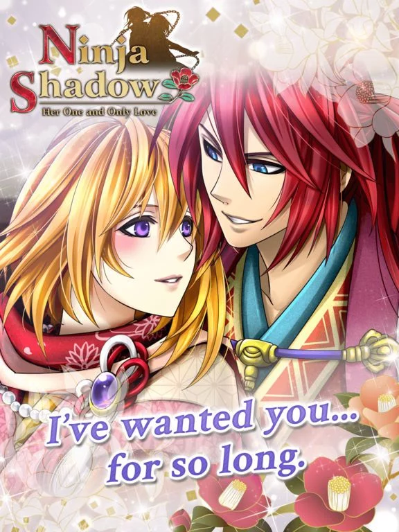 Изображение игры: Ninja Shadow / Shall we date?