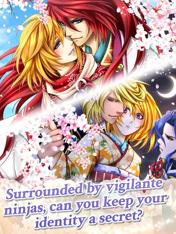 Изображение игры: Ninja Shadow / Shall we date?