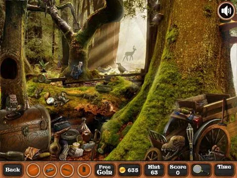 Изображение игры: Amazon Treasure Hidden Objects