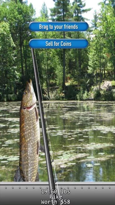 Изображение игры: iFishing 5