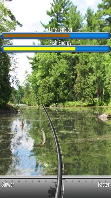 Изображение игры: iFishing 5