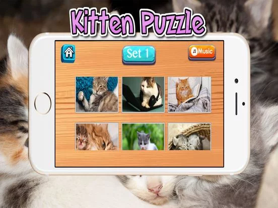 Изображение игры: Cat Kitten Kitty Pet Jigsaw Puzzles for toddlers
