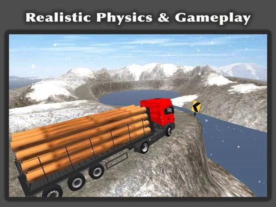 Изображение игры: Truck Driver Cargo 3D
